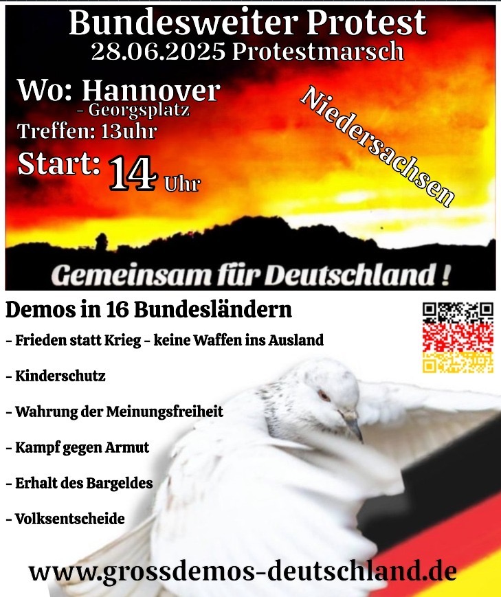 Bild 4 Preview