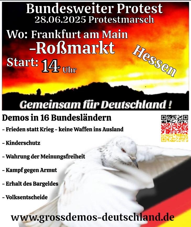 Bild 5 Preview